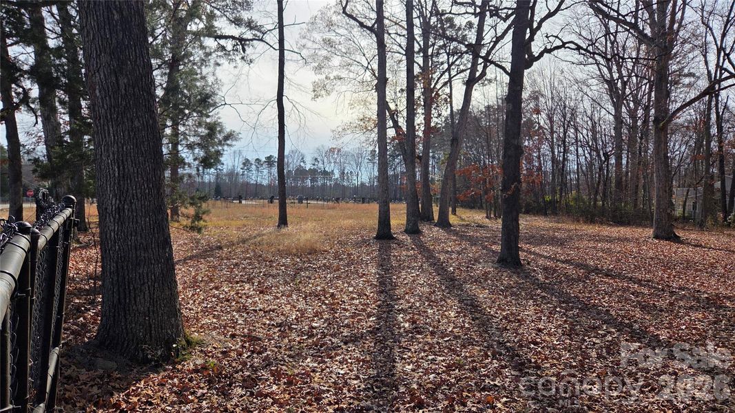 Natural landscape and outdoor views near  in Charlotte (Image 12).