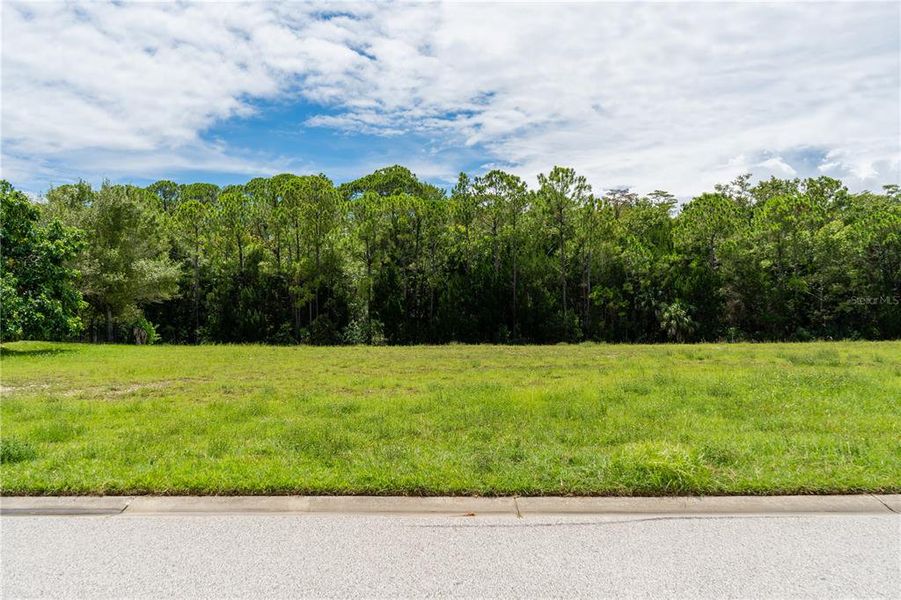 Natural landscape and outdoor views near  in Hudson (Image 25).