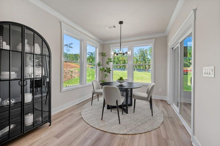 Furnished interior view inside a new home in Pinecrest Ridge, Dacula (Image 13).