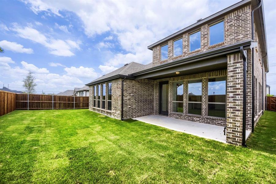 Expansive green lawn with a privacy fence Expansive green lawn with a privacy fence