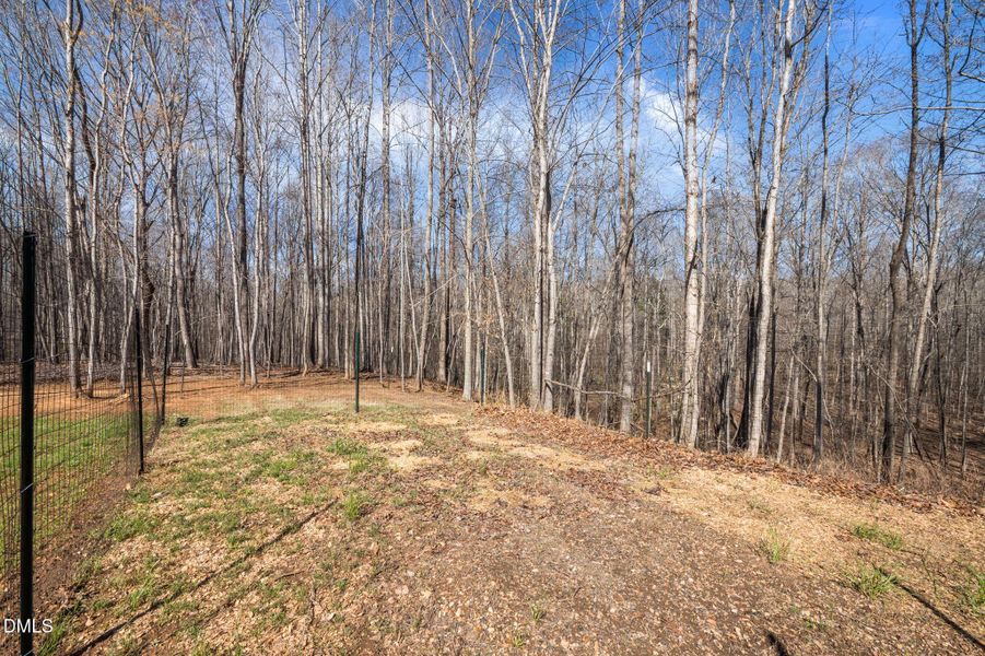 38-web-or-mls-P1112029