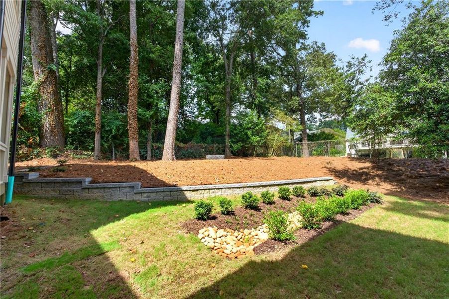 Natural landscape and outdoor views near  in Atlanta (Image 47).