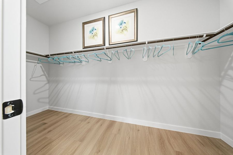 Granger Pines Model Home - Linden - Primary Closet Granger Pines Model Home - Linden - Primary Closet