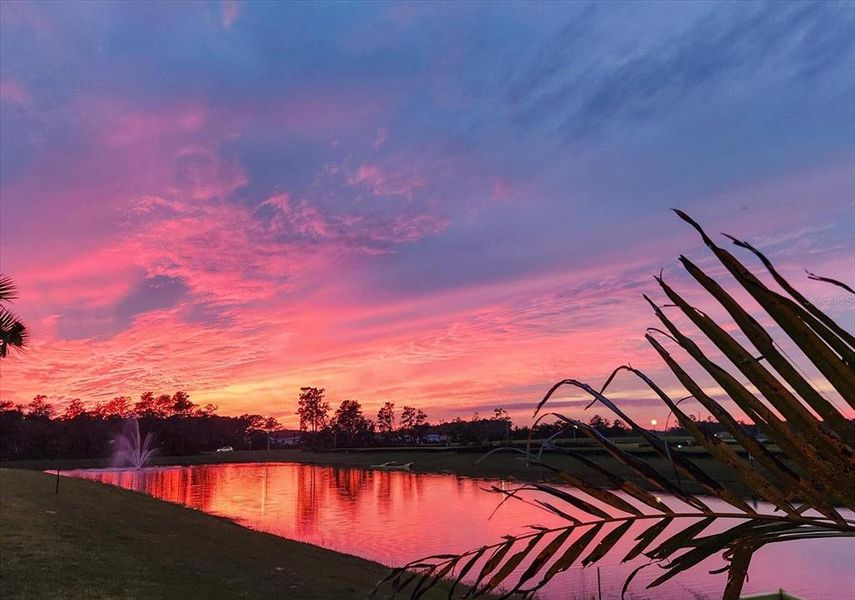 Natural landscape and outdoor views near Archers Mill in Ormond Beach (Image 85).
