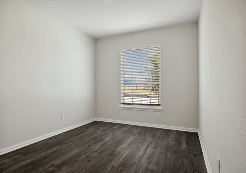 Downstairs flex room with vinyl flooring