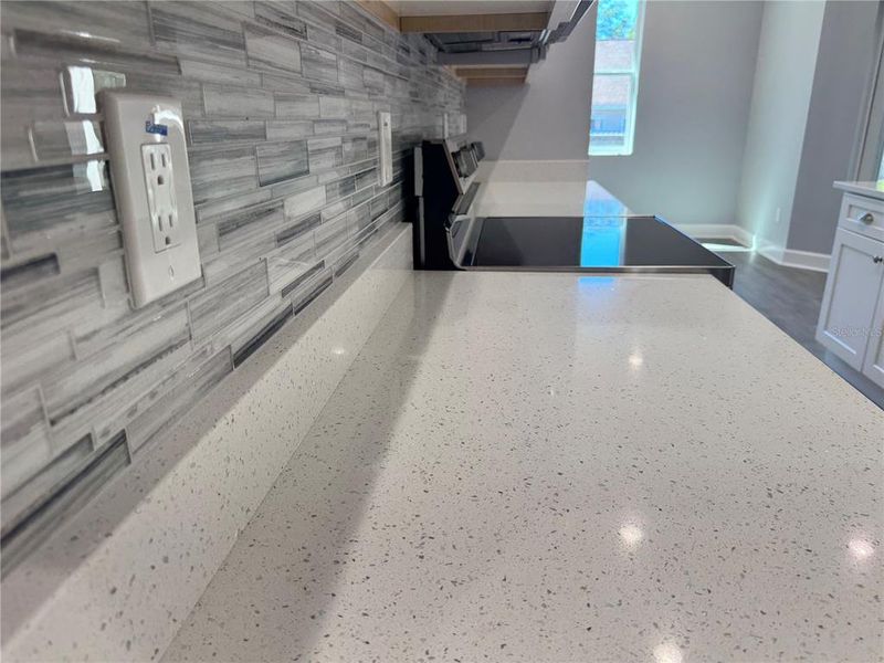 Close-up of interior finishes inside a home in , Dade City (Image 23).