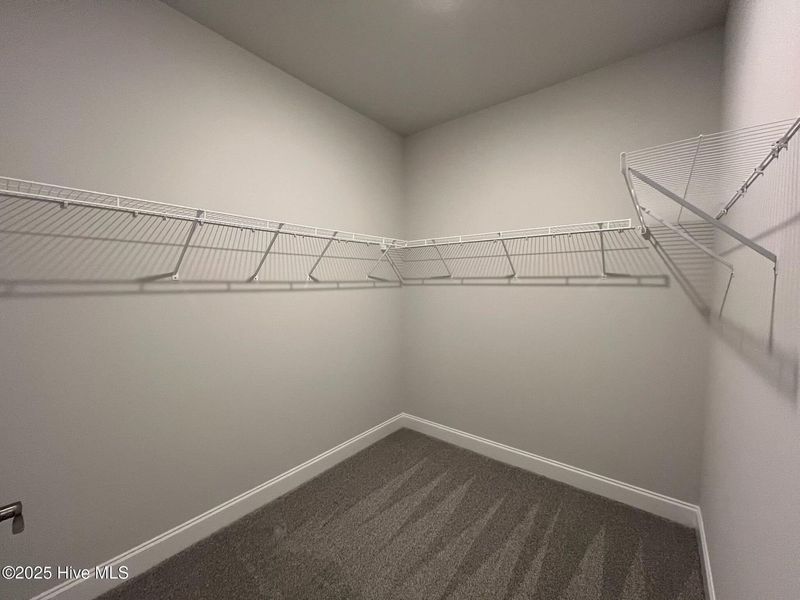 Spacious, unfurnished interior of a new home in Palmetto Creek, Bolivia (Image 22). Spacious, unfurnished interior of a new home in Palmetto Creek, Bolivia (Image 22).