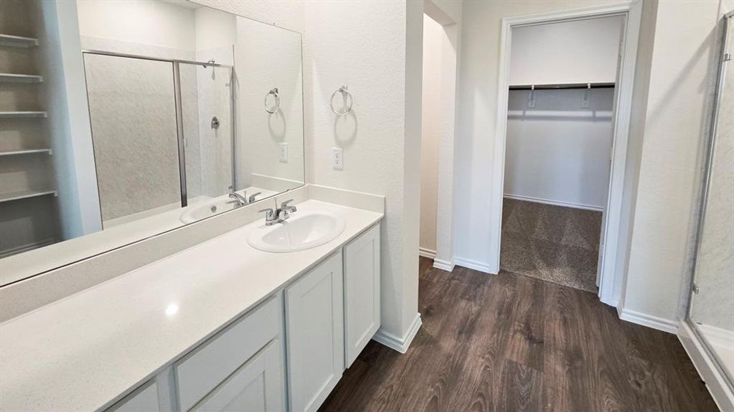 Full bath with a stall shower, a spacious closet, dark wood-style flooring, and vanity Full bath with a stall shower, a spacious closet, dark wood-style flooring, and vanity