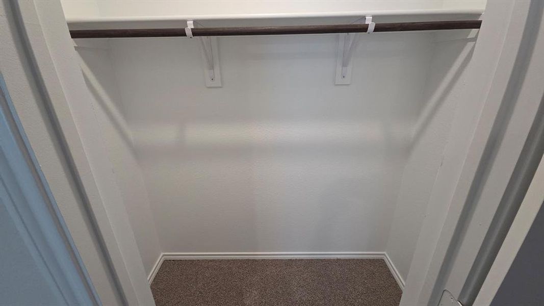 Recessed closet featuring a single hanging rod, upper shelf, and neutral carpet flooring