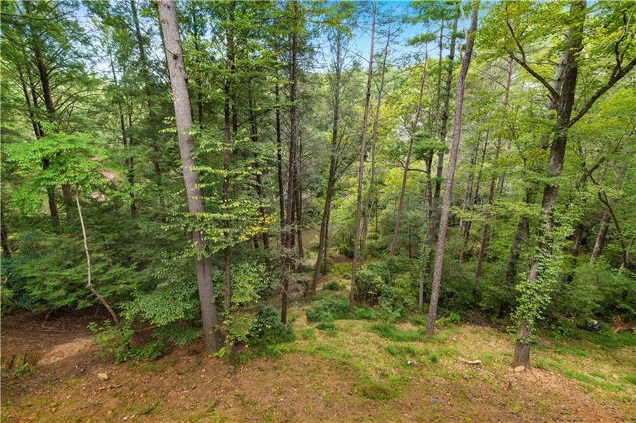 Natural landscape and outdoor views near  in Cherry Log (Image 53).