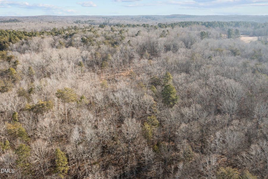 12-web-or-mls-DJI_0233 12-web-or-mls-DJI_0233