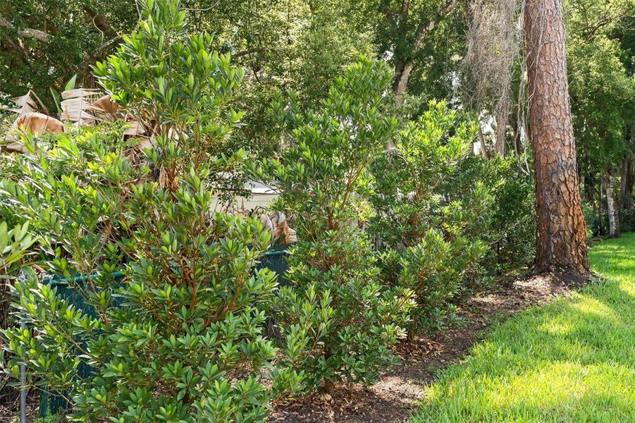 Natural landscape and outdoor views near in Debary (Image 34). Natural landscape and outdoor views near in Debary (Image 34).