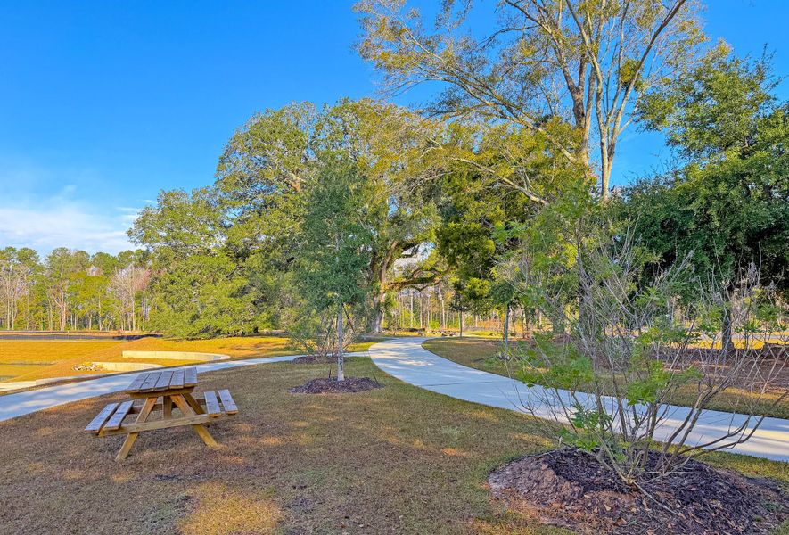Natural landscape and outdoor views near Six Oaks in Summerville (Image 56). Natural landscape and outdoor views near Six Oaks in Summerville (Image 56).