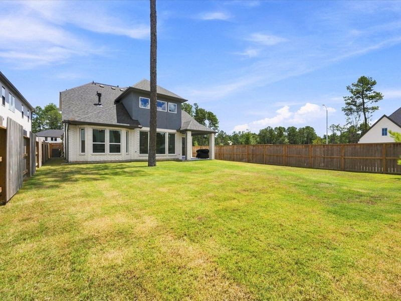 Large Backyard