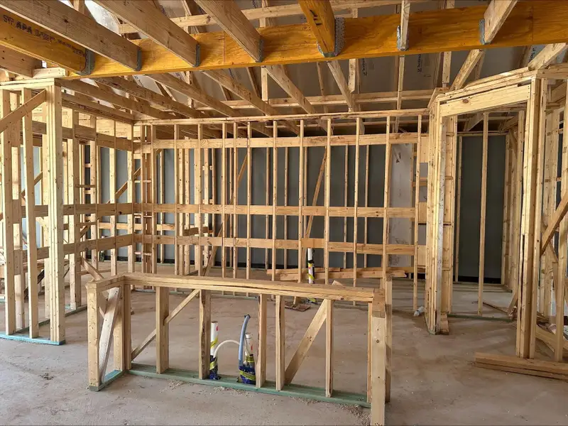 113 Wingstem Way - Under Construction 113 Wingstem Way - Under Construction