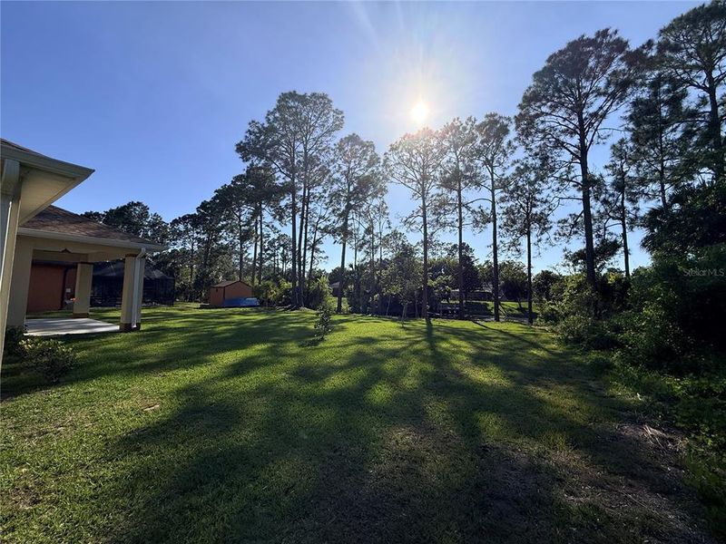 Natural landscape and outdoor views near  in Palm Coast (Image 48).