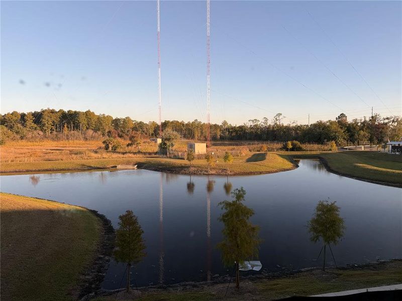 Natural landscape and outdoor views near Montague Chase in Tampa (Image 23).
