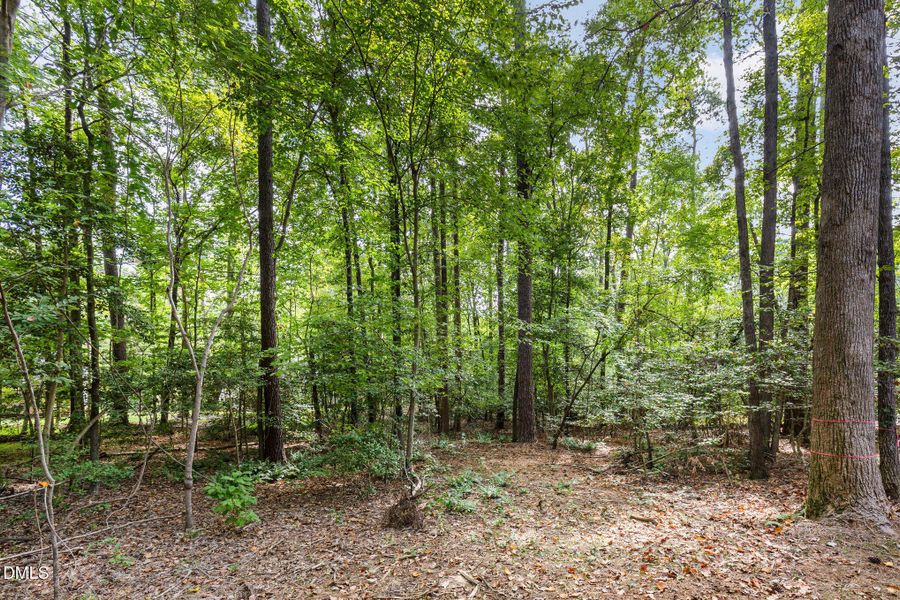 028_img_5441-edit_99