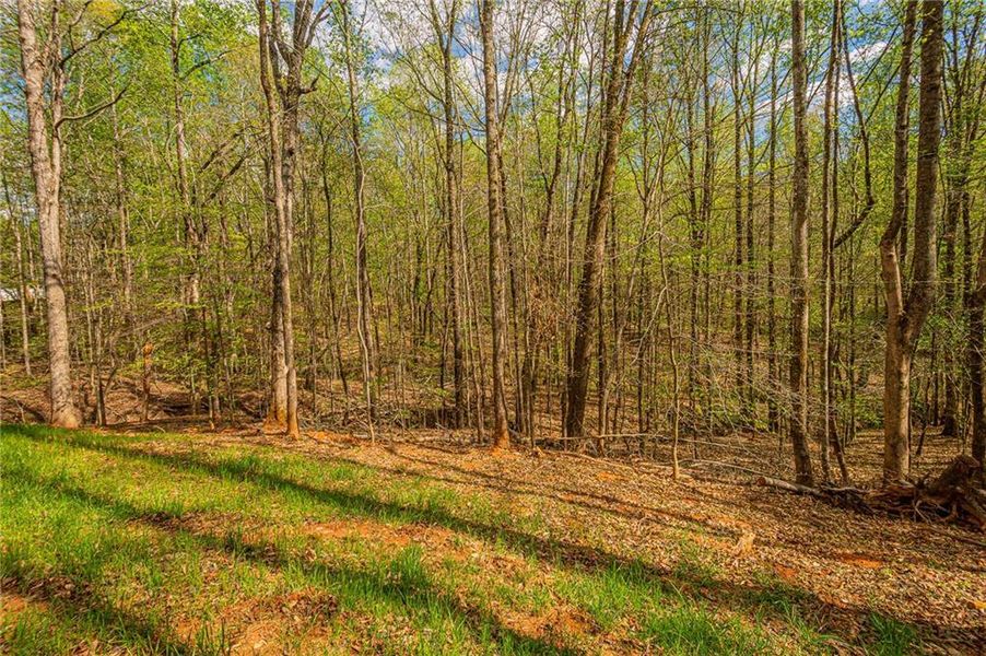 Natural landscape and outdoor views near  in Murrayville (Image 75).