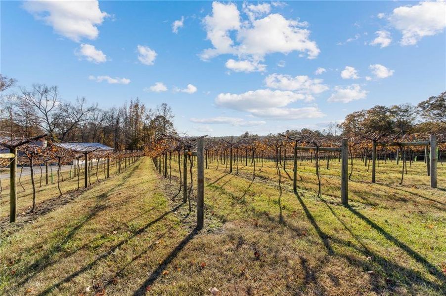 Exterior details and patio area of a home in , Dallas (Image 37). Exterior details and patio area of a home in , Dallas (Image 37).