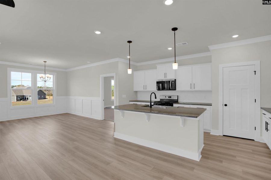 Furnished interior view inside a new home in Old Charleston Acres, Pelion (Image 10).
