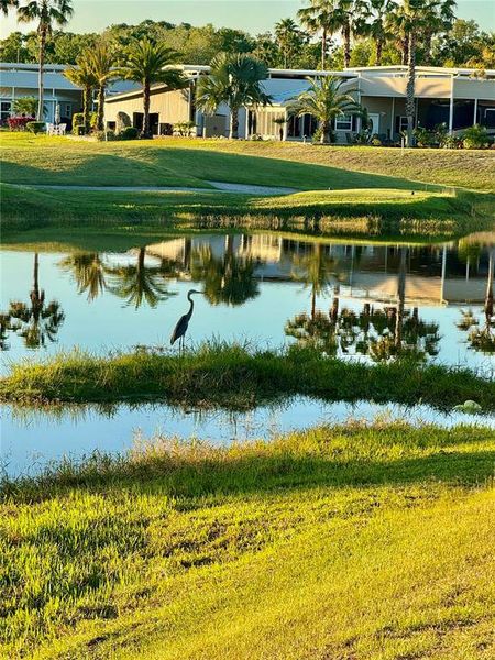 Natural landscape and outdoor views near in Davenport (Image 35). Natural landscape and outdoor views near in Davenport (Image 35).