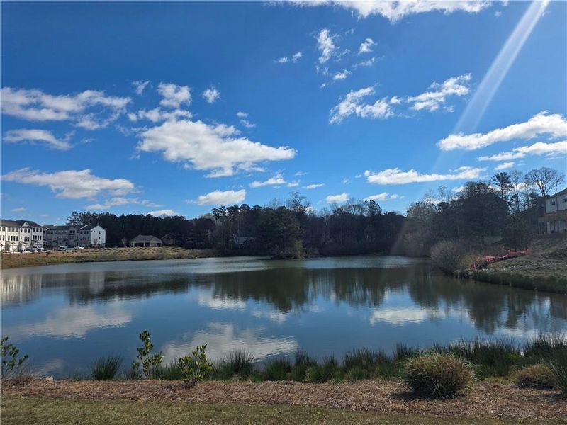 Natural landscape and outdoor views near Rosewood Farm in Lawrenceville (Image 36).