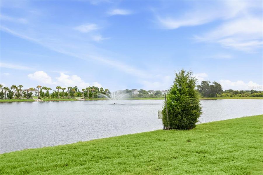 Natural landscape and outdoor views near  in Sarasota (Image 82).