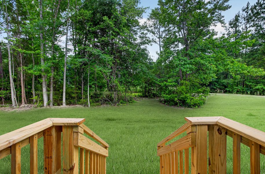 Natural landscape and outdoor views near  in Moncks Corner (Image 26).