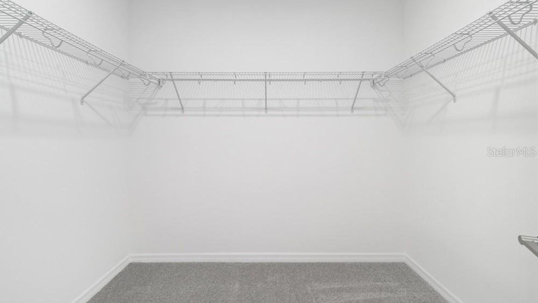 REPRESENTATIVE PHOTO