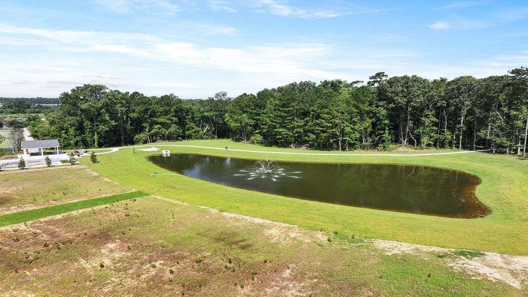 Natural landscape and outdoor views near Carolina Groves Townhomes in Moncks Corner (Image 25).