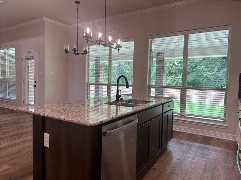 Kitchen featuring a chandelier, stainless steel dishwasher, dark wood-style flooring, plenty of natural light, and ornamental molding Kitchen featuring a chandelier, stainless steel dishwasher, dark wood-style flooring, plenty of natural light, and ornamental molding