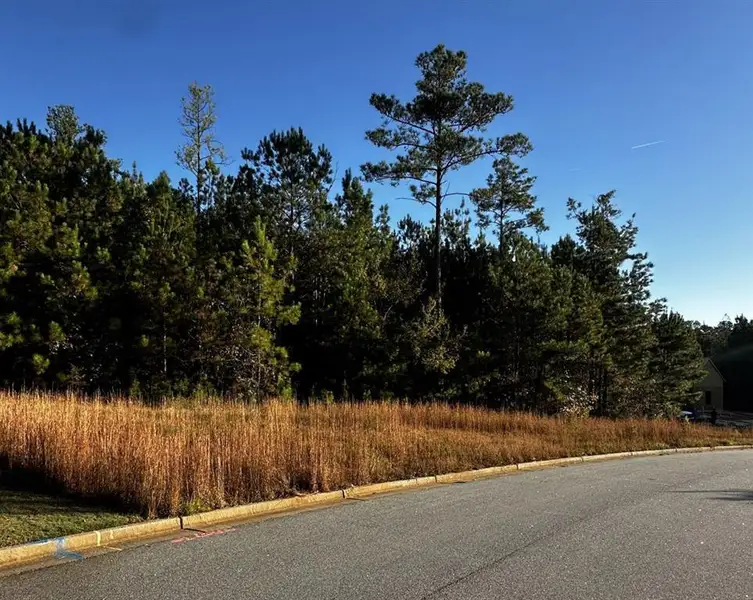 Natural landscape and outdoor views near  in Newnan (Image 3).
