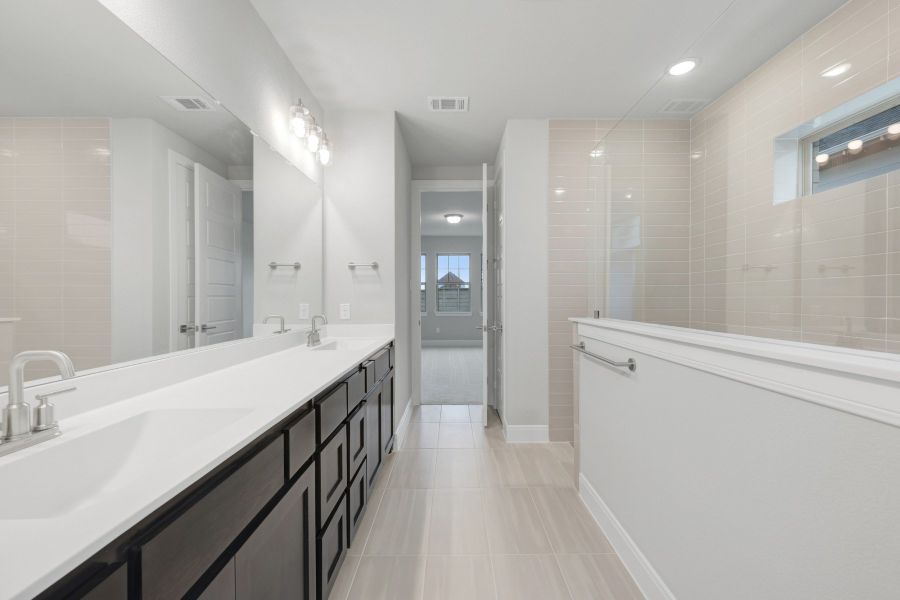 Owner's Bath