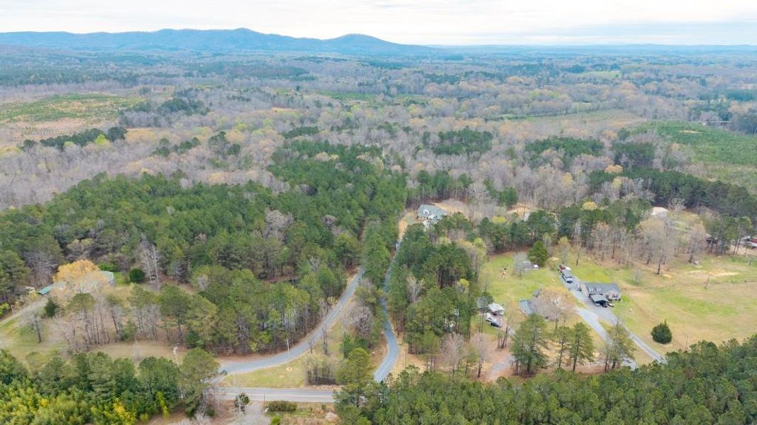 Natural landscape and outdoor views near  in Calhoun (Image 25).