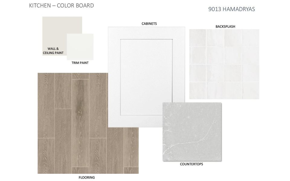 Image 13 of a home in Urban Courtyard Homes at Easton Park.