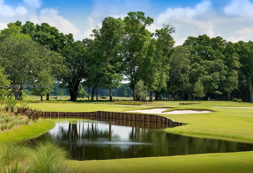 Natural landscape and outdoor views near  in Ocala (Image 31).