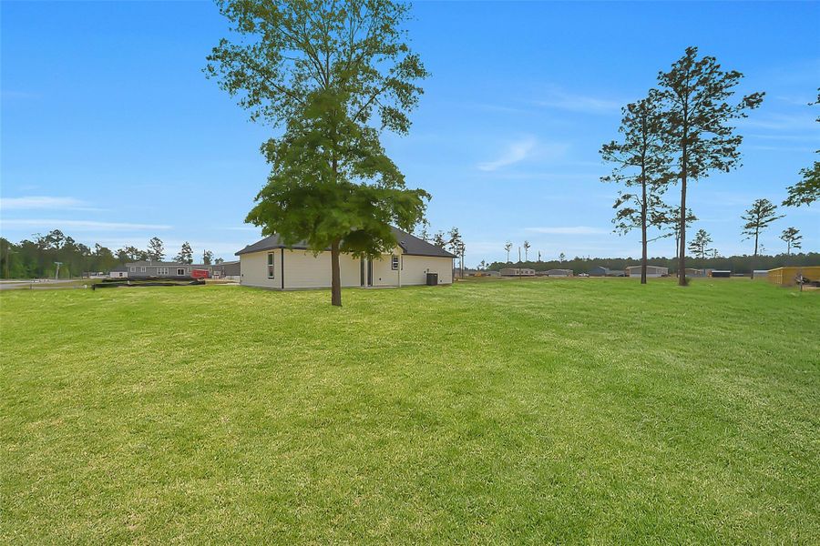 Natural landscape and outdoor views near  in Conroe (Image 26).