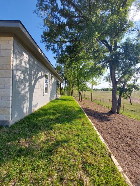 View of grassy back yard.