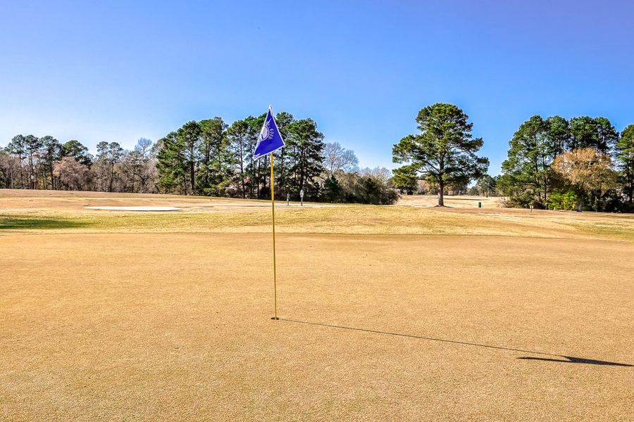 Community amenities in , Trinity (Image 18).