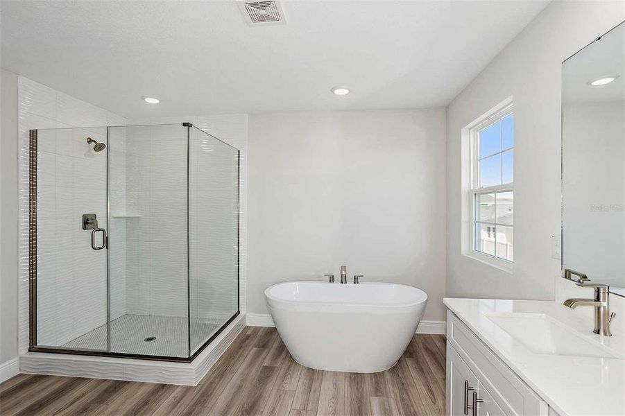 Furnished interior view inside a new home in Pasadena Woods, Dade City (Image 10). Furnished interior view inside a new home in Pasadena Woods, Dade City (Image 10).