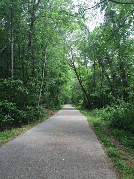 Natural landscape and outdoor views near  in Atlanta (Image 49).