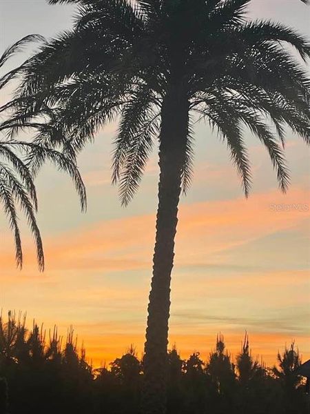 Natural landscape and outdoor views near in Davenport (Image 36). Natural landscape and outdoor views near in Davenport (Image 36).