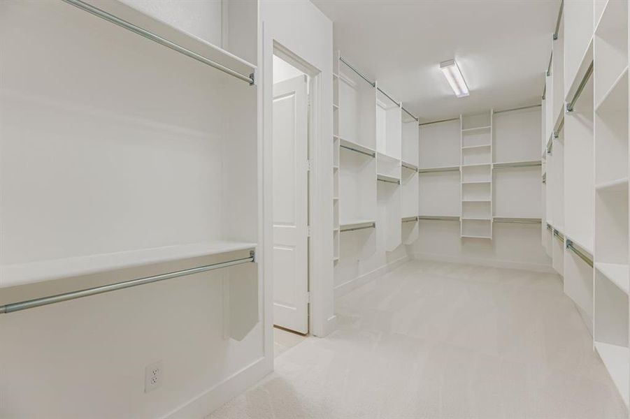 Spacious closet with light carpet