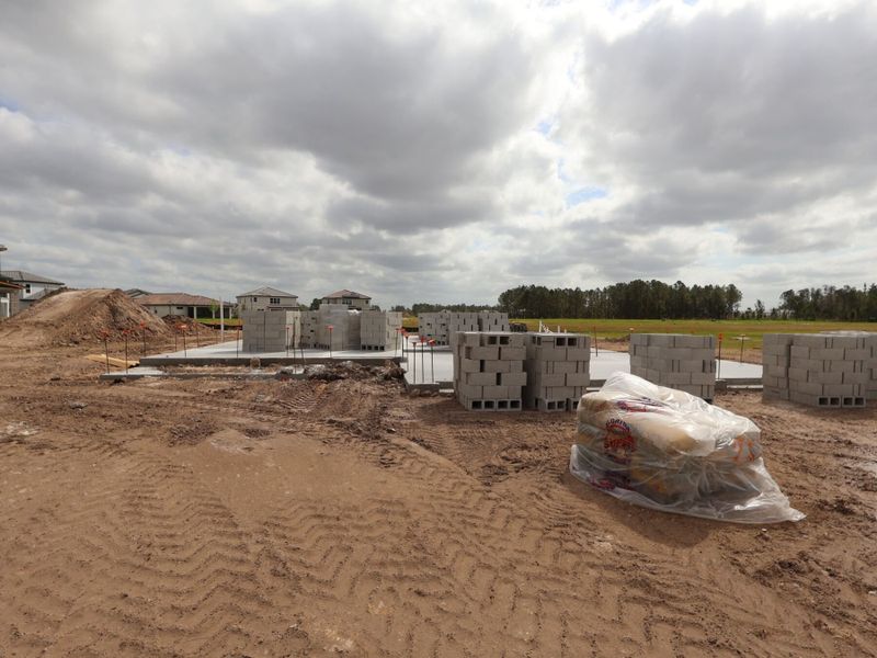 Homesite Homesite