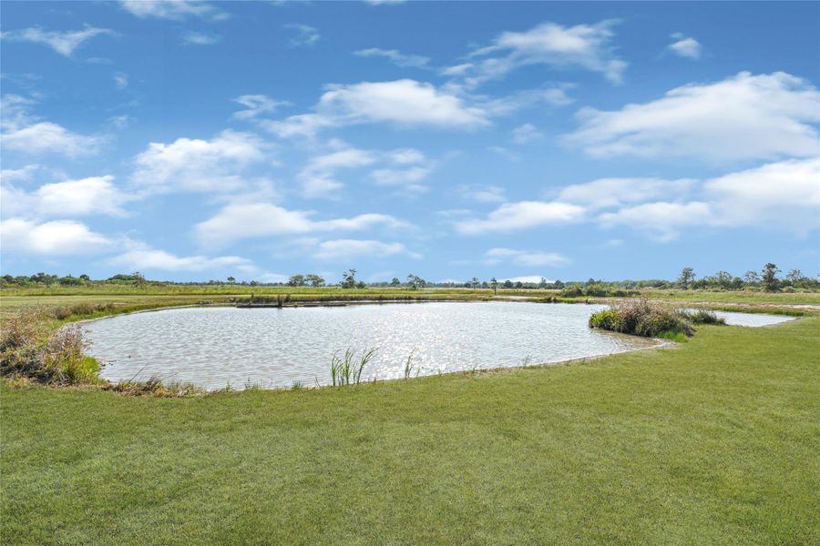 Natural landscape and outdoor views near  in Anahuac (Image 16).
