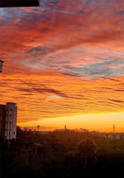 Natural landscape and outdoor views near  in New Port Richey (Image 56).
