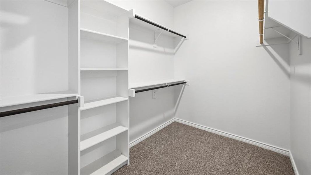 Spacious closet featuring dark carpet