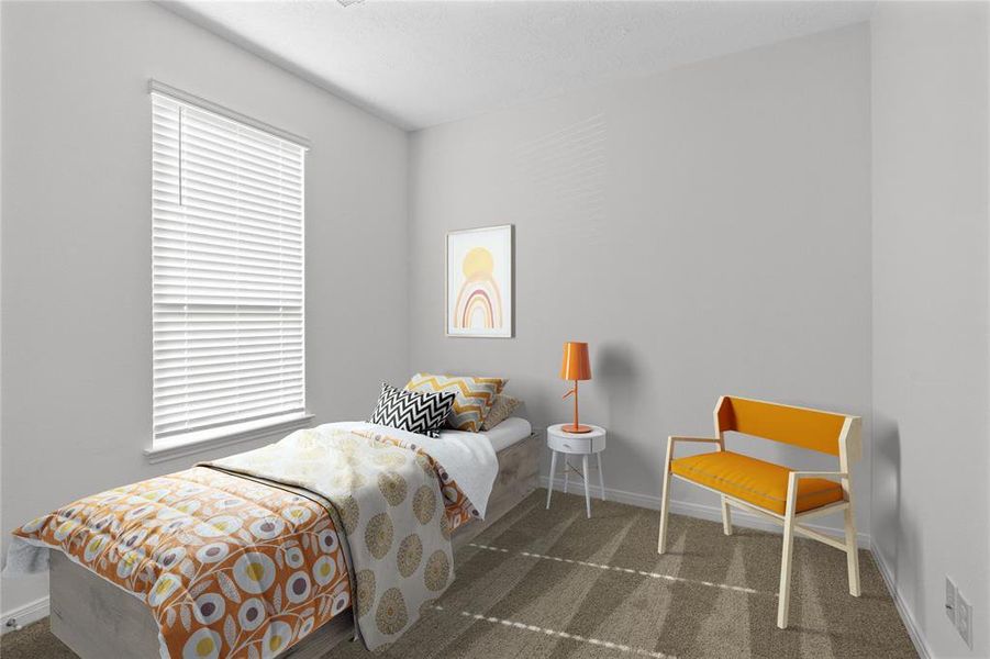 Secondary bedroom features plush carpet, and a large windows with privacy blinds.