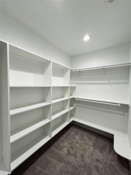 Walk in closet featuring dark colored carpet Walk in closet featuring dark colored carpet